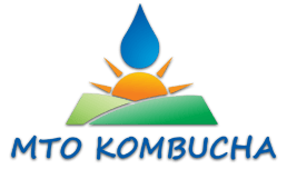 The Best Kombucha Around