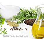 Oil of Oregano: A Powerhouse for the Alternative Medicine Cabinet