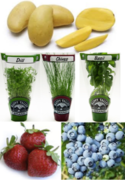 Fresh Produce, Spring Gifts and April Specials at For Goodness Sake Natural Foods