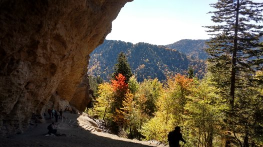 View from Alum Cave on Mount La Conte 10-22-2019
