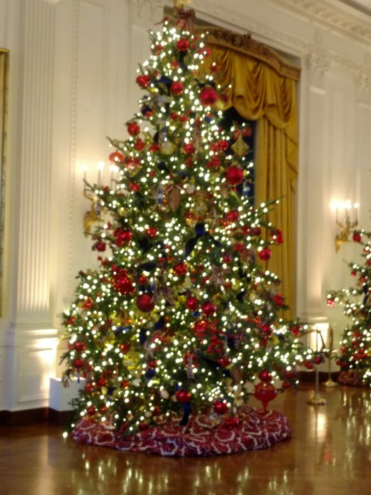 One of the many Christmas trees at the White house